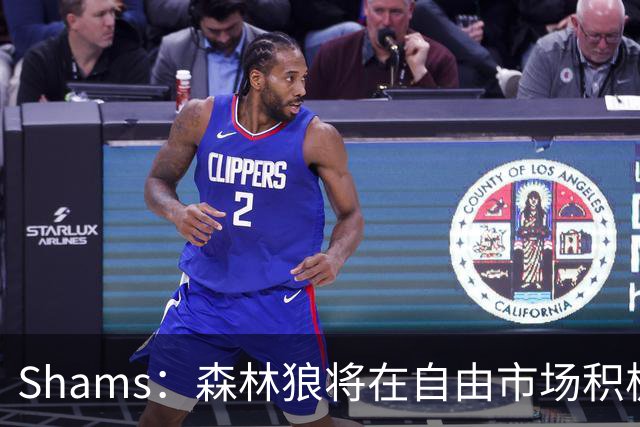 Shams：森林狼将在自由市场积极补强4号位 但他们只能提供底薪